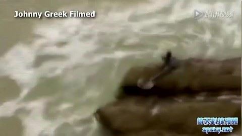 《以色列人发现美人鱼》