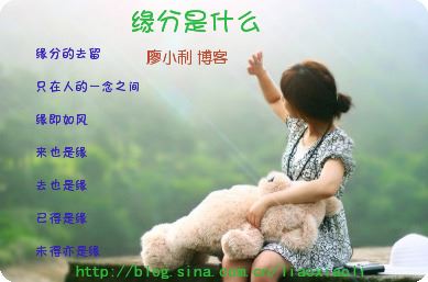 缘分是什么
