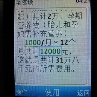 央视记者陈琰卷入的是“强奸门”还是“陷井门”?(图)
