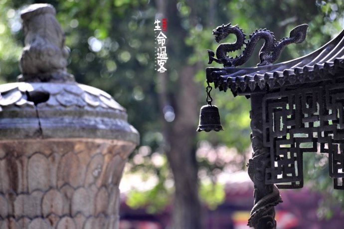 【原创】泉州开元寺：千年古城千年的寺