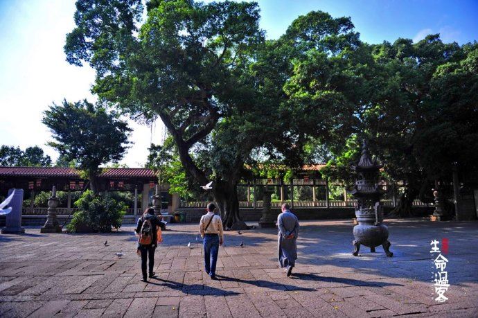 【原创】泉州开元寺：千年古城千年的寺