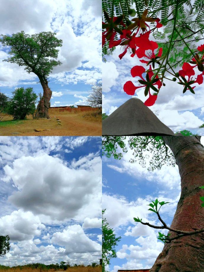 和哈里王子同步游非洲！抢在别的中国人发现它之前，好好地野奢一番！