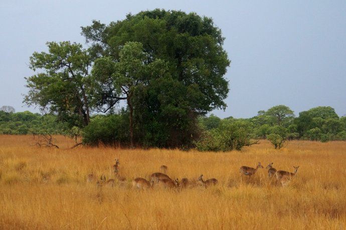 和哈里王子同步游非洲！抢在别的中国人发现它之前，好好地野奢一番！