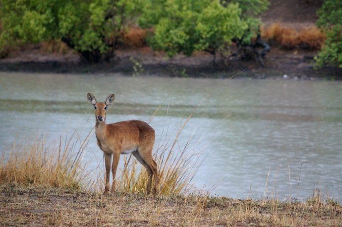 和哈里王子同步游非洲！抢在别的中国人发现它之前，好好地野奢一番！