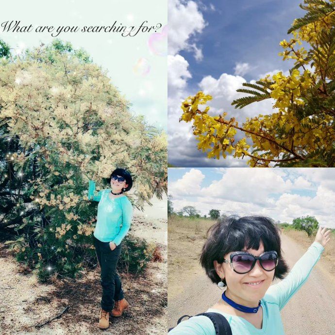 和哈里王子同步游非洲！抢在别的中国人发现它之前，好好地野奢一番！