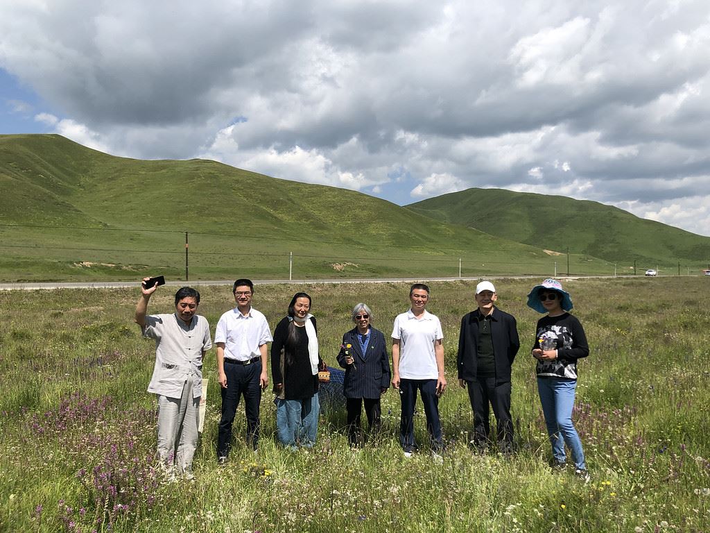 庚子年刘家峡游记