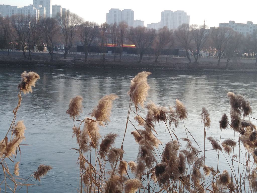 庚子年刘家峡游记