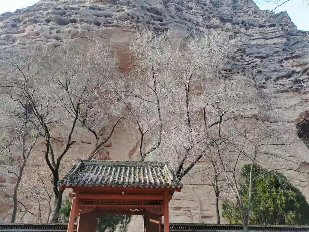 庚子年刘家峡游记