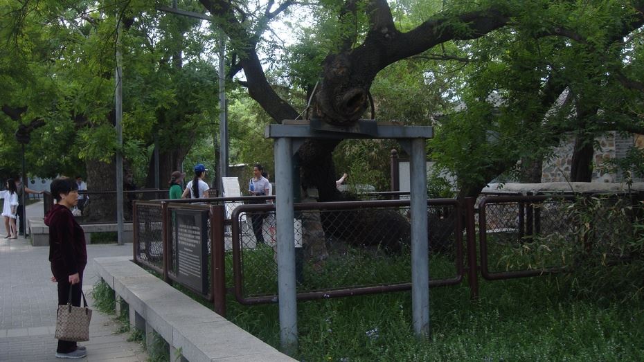 京西香山脚下之北京植物园