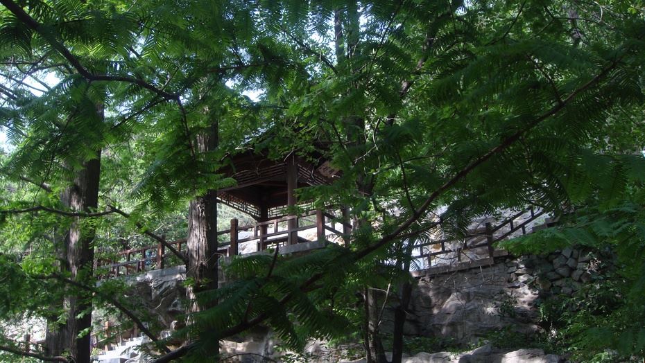 京西香山脚下之北京植物园