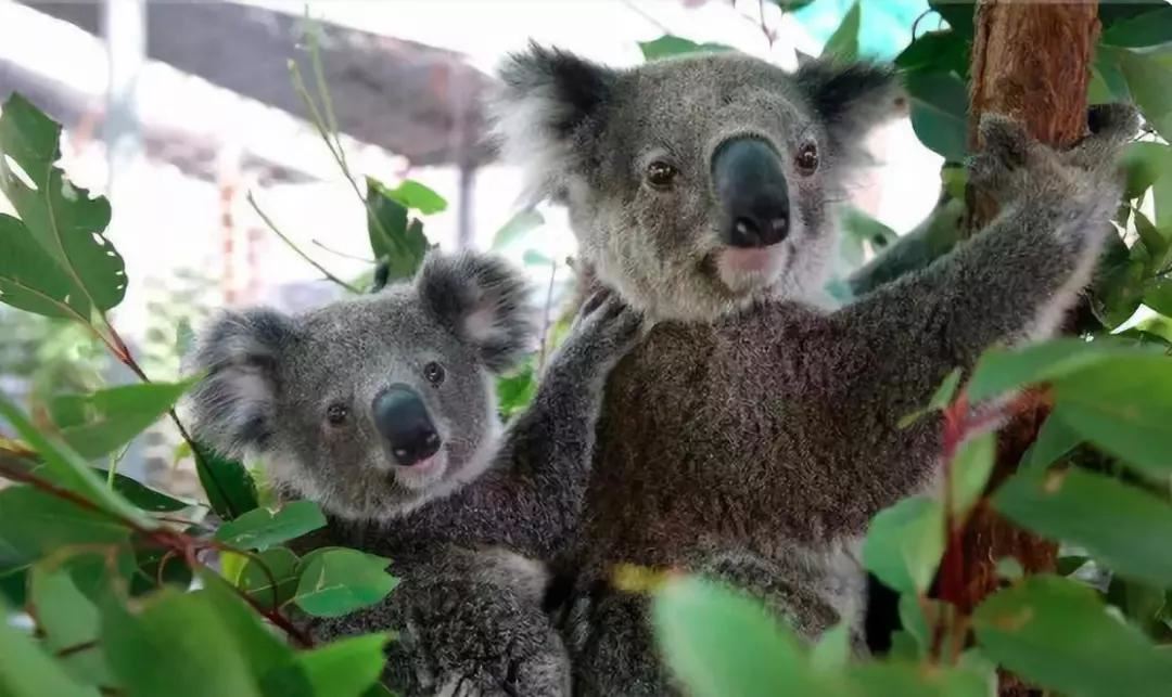 忘掉2019年这十五条假新闻，他们一次次把国人的智商按在地上摩擦