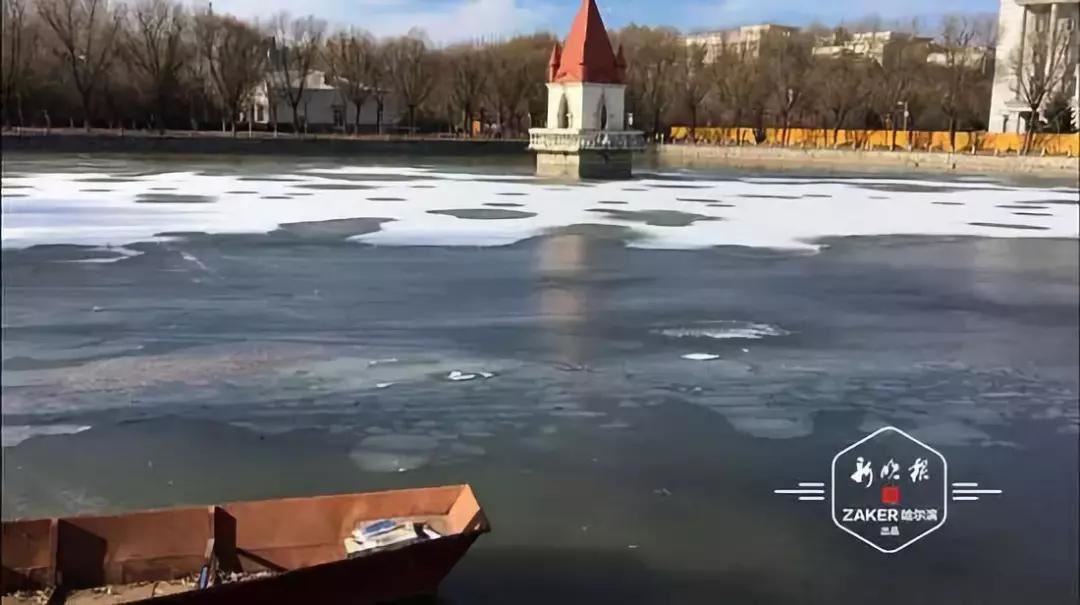 忘掉2019年这十五条假新闻，他们一次次把国人的智商按在地上摩擦