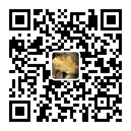 美国行，美国革命圣地波士顿