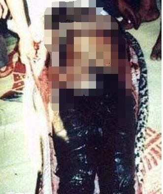 世界上最大的蛇吃人，印尼巨蟒吞人事件回顾(真实案例)