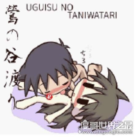 江户四十八手gif动图，日本情爱体位的48种姿势