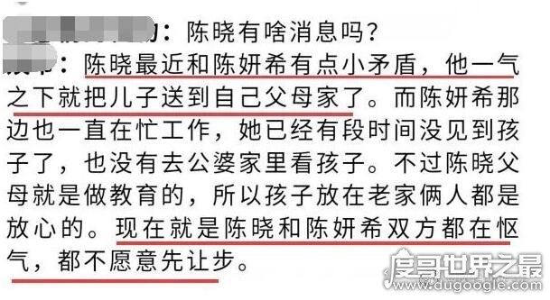 陈晓陈妍希发生了什么天涯，网曝陈妍希多次出轨(未证实)