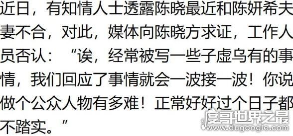 陈晓陈妍希发生了什么天涯，网曝陈妍希多次出轨(未证实)