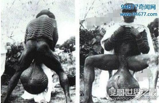 非洲原始部落巨阴族的秘密,从小舔食母牛蜜汁直至婚后