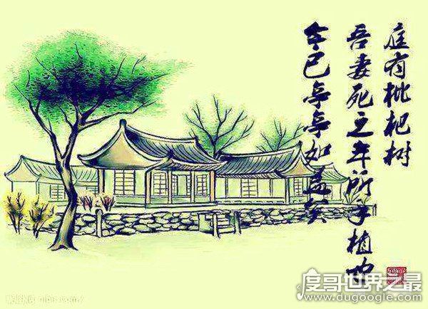 你爸今晚必在亭中种枇杷树是什么梗，等同于“nmsl”