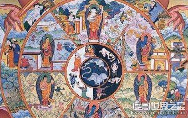 房间有鬼的十大特征，动物感应敏锐（性情突变）