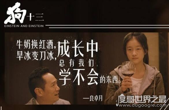 狗十三邀为什么被禁,这部被禁五年的青春片真实而又残酷