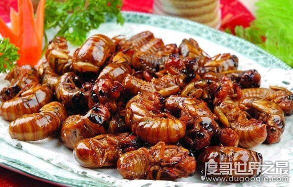 知了图片大全,这种看起来丑陋恐怖的昆虫是许多人追捧的美食