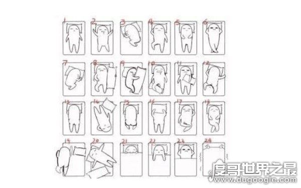 24睡姿图介绍,什么样的睡姿更健康(睡觉姿势科普)