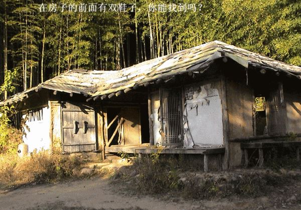 世界上最恐怖的图片,第一张就能将你吓尿(胆小勿入)