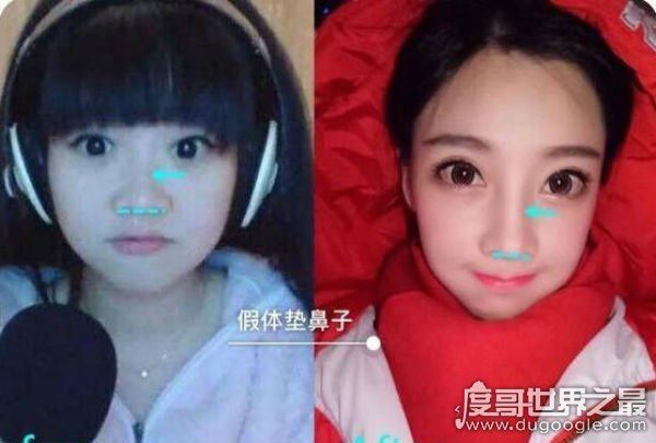 蔡依林整容前后照片对比,整容前(酷似凤姐)遭网友吐槽
