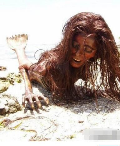 美人鱼图片大全，美人鱼真身吓人图片(原来并不美)