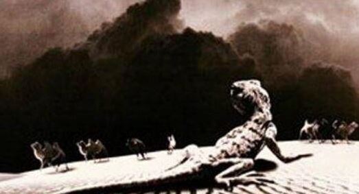 罗布泊食人蜥蜴，来自1978年的恐怖未解之谜（多达千条）