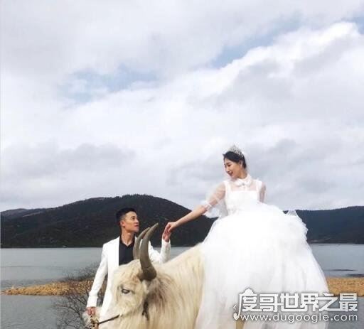 问青天这人生有几何是什么歌，网络歌手半阳原创歌曲《一曲相思》