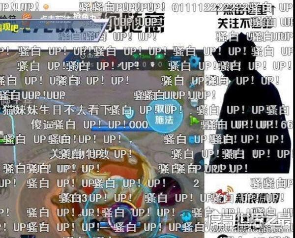 利益还是炒作，骚白和散打哥发生了什么事（为何针锋相对）