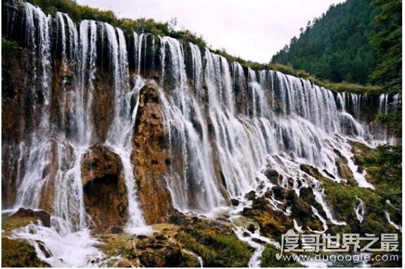 九寨沟最宽的瀑布,诺日朗瀑布(宽270米/高24.5米/海拔2365米)