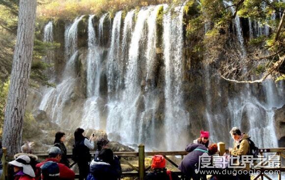 九寨沟最宽的瀑布，诺日朗瀑布(宽270米/高24.5米/海拔2365米)