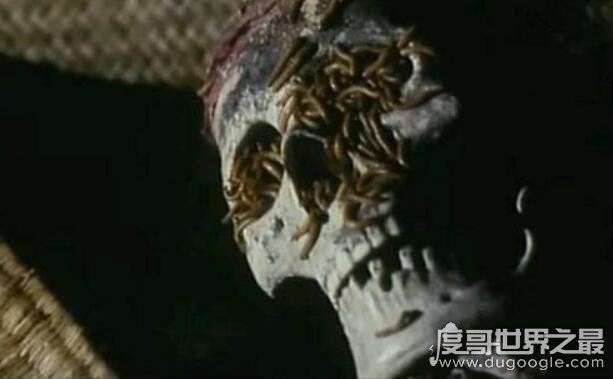 世界上最吓人图片大全，超恐怖超吓死的图片欣赏(胆大来挑战)