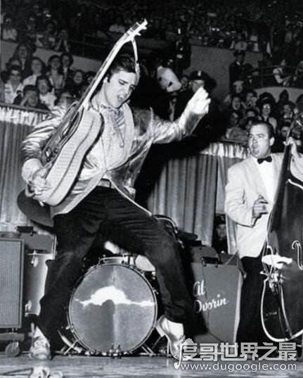 猫王怎么死的？猫王死因真相令人震惊(竟因便秘而死)