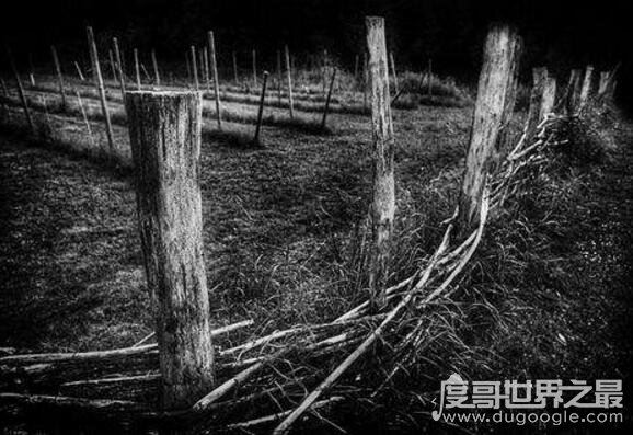世界三大禁曲(三大魔曲)被禁原因,太多人自杀(试听)