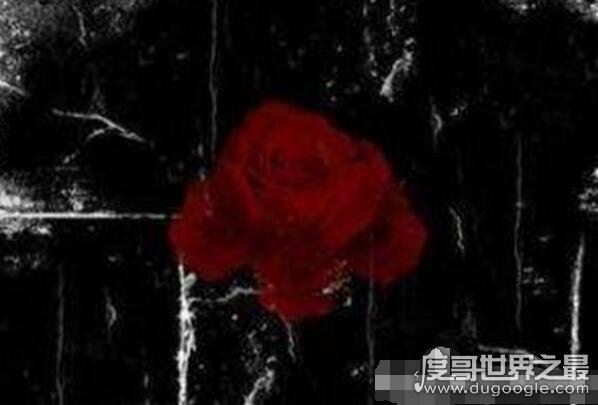 世界三大禁曲(三大魔曲)被禁原因,太多人自杀(试听)