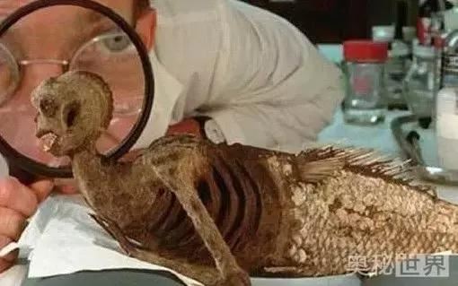 黑鳞鲛人活着的样子，男鲛人凶神恶煞女鲛人曼妙多姿（传说）