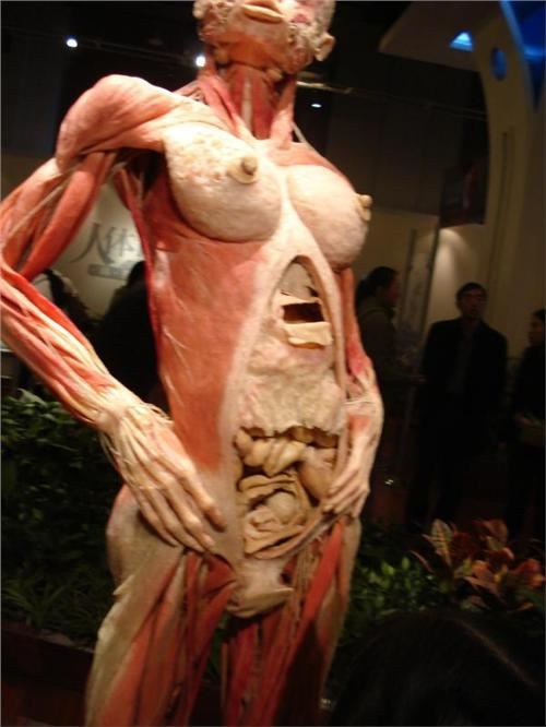 大连失踪女主播，张伟杰竟被剥皮制作成标本(未证实)