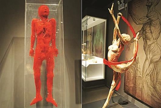 大连失踪女主播，张伟杰竟被剥皮制作成标本(未证实)