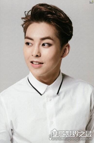 exo成员资料简介12人，exo成员最帅的是谁(有4位中国人)