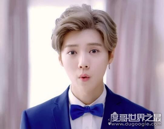 exo成员资料简介12人,exo成员最帅的是谁(有4位中国人)