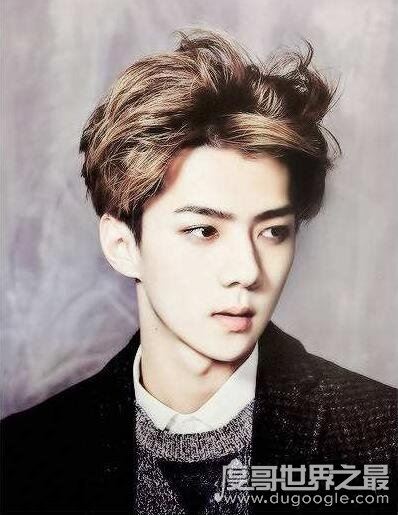 exo成员资料简介12人，exo成员最帅的是谁(有4位中国人)