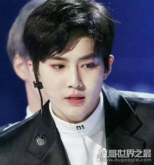 exo成员资料简介12人，exo成员最帅的是谁(有4位中国人)