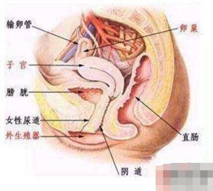 甘肃掏肠手乔建国案实录，2少女遭毒手(如何掏肠成谜)