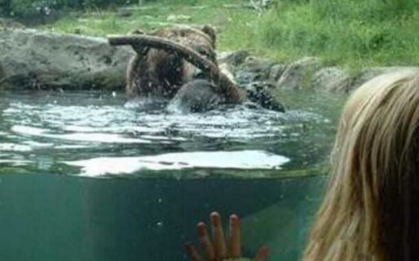 世界上十大兽孩，被各类野兽兽化的孩子(让人痛惜)