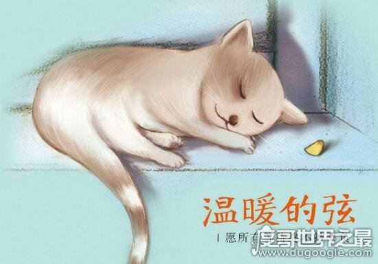 类似何以笙箫默的小说推荐，别后重逢虽虐但HE