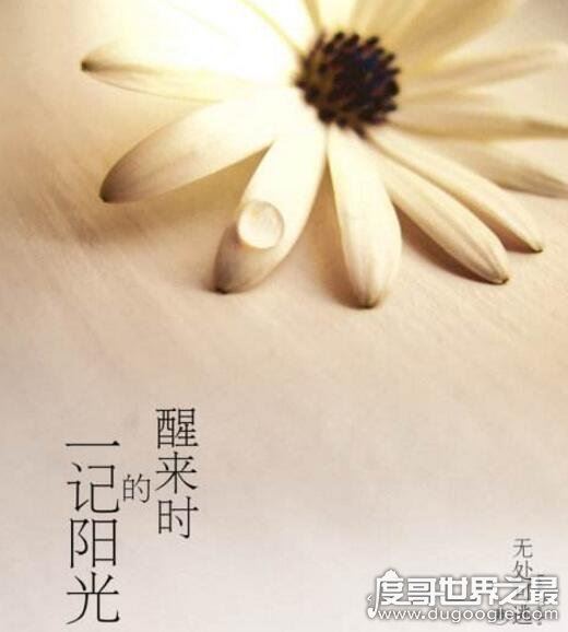 类似何以笙箫默的小说推荐，别后重逢虽虐但HE